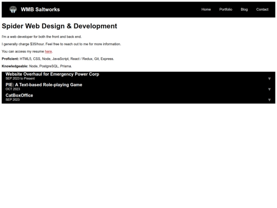 portfolio screenshot