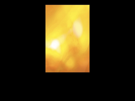 lily2 screenshot
