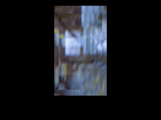 lily4 screenshot