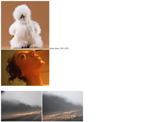 photo_diary screenshot