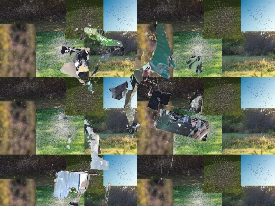 swarm screenshot