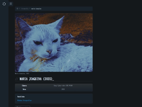 fotografia/maria-joaquina screenshot