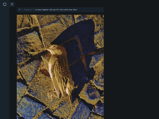 fotografia/so-posso-imaginar-tudo-que-foi-visto-pelos-seus-olhos screenshot