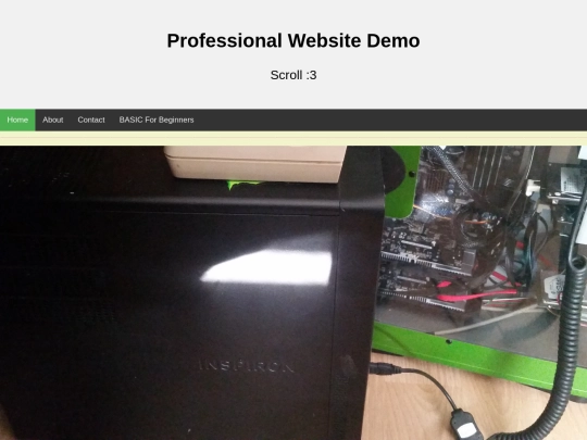 professional_demo screenshot