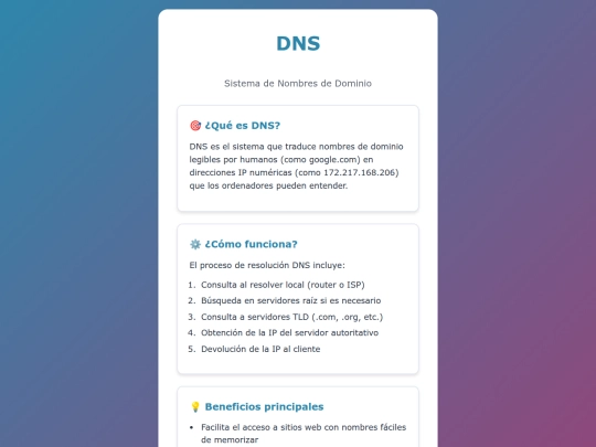 dns screenshot