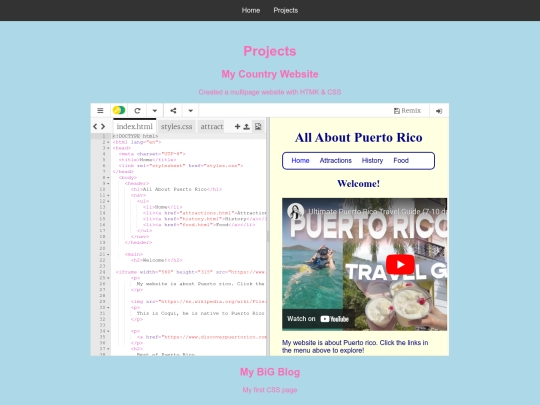 projects screenshot