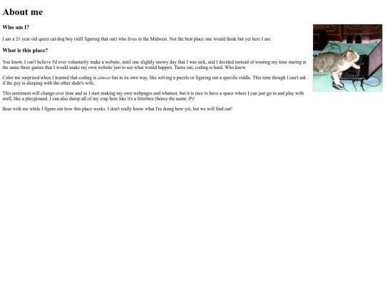 archivedpages/aboutme screenshot