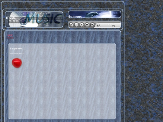 music screenshot
