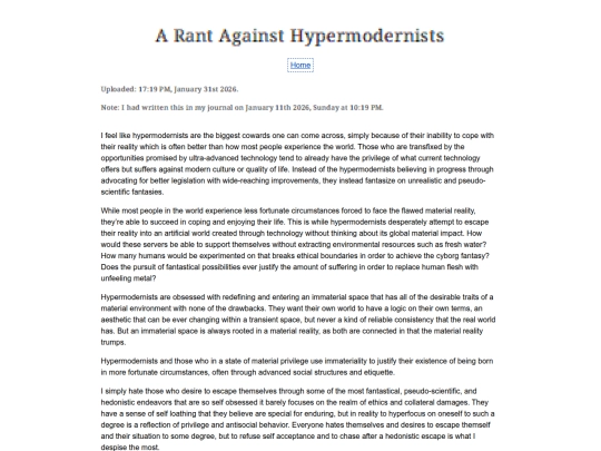 Essay Entries/Hypermodernists screenshot