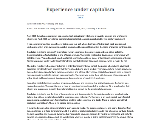 Essay Entries/experience screenshot