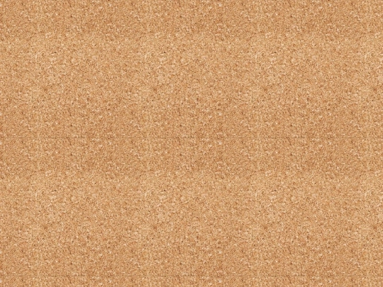 home screenshot