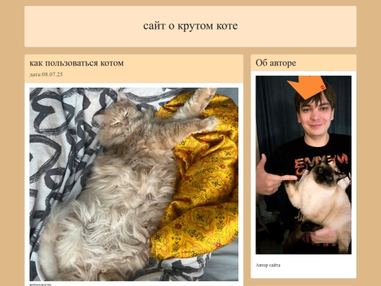 site1 screenshot