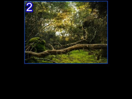 adventure/level2 screenshot