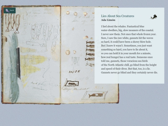 museum/poetry/seacreatures screenshot