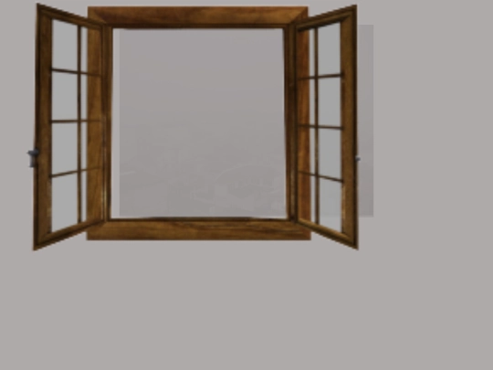 window screenshot