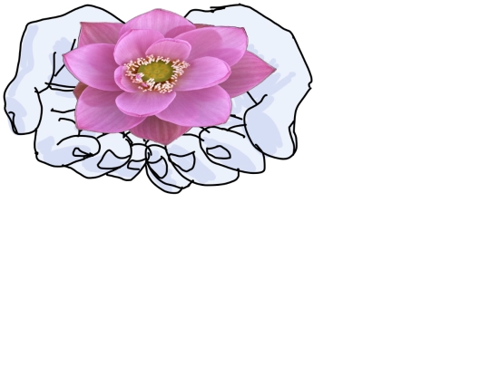 articles/lotus screenshot