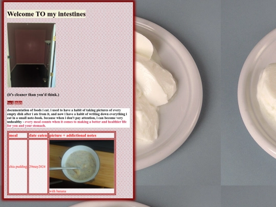 food/foodlog screenshot