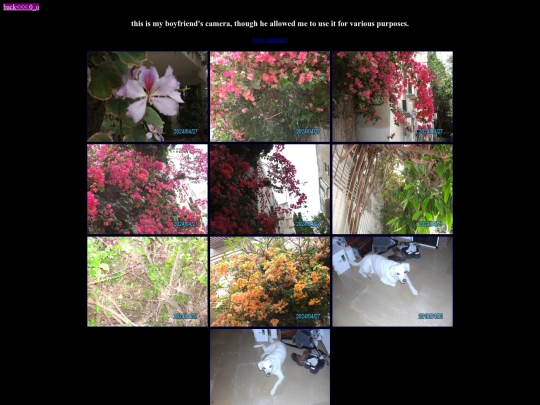 pics/cam2 screenshot