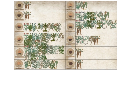 monastery/library/herbarium/calendar-sowing screenshot