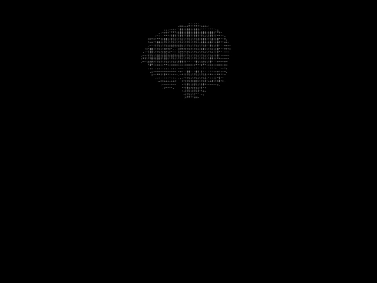 bear screenshot
