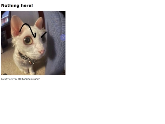 404 screenshot