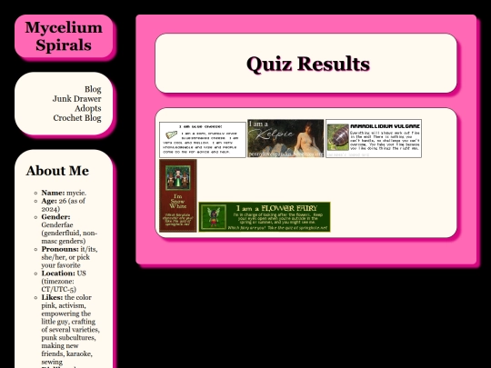 junk-drawer/quiz-results screenshot