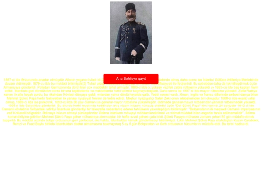 mşp screenshot