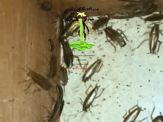 demoending1 screenshot