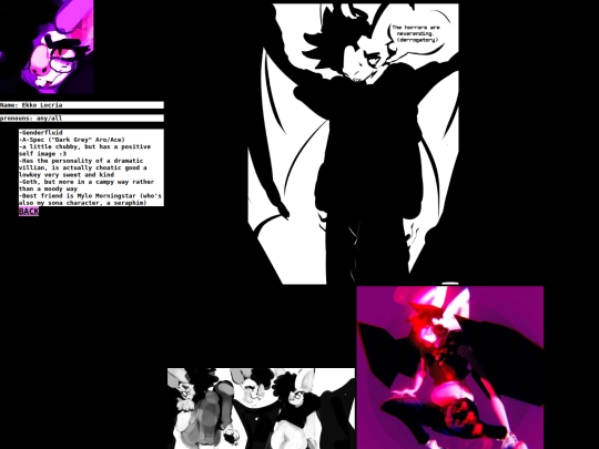 Extras/webzines/EKKO_shrine screenshot