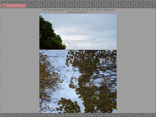 pages/photography screenshot