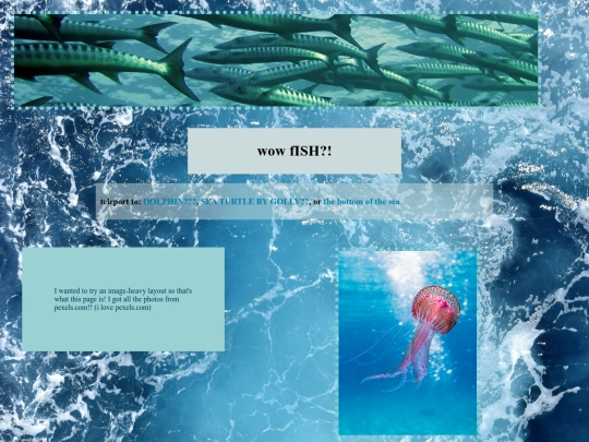 fiSH screenshot