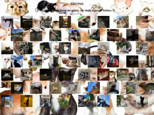 cats/gatos screenshot