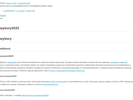 wybory2025/index1 screenshot