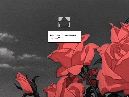 roses screenshot
