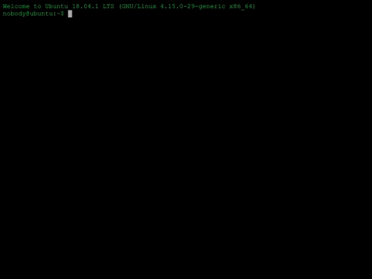 pages/terminal screenshot