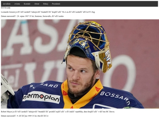 SUI screenshot