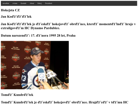 hokejsta screenshot