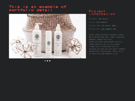 portfolio-details screenshot