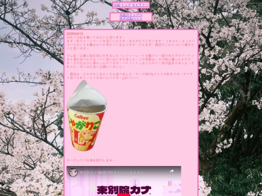 diary/diary1 screenshot