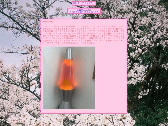 diary/diary2 screenshot