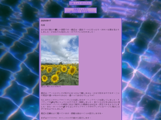 diary/diary4 screenshot