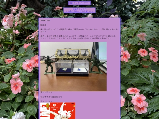 diary/diary5 screenshot