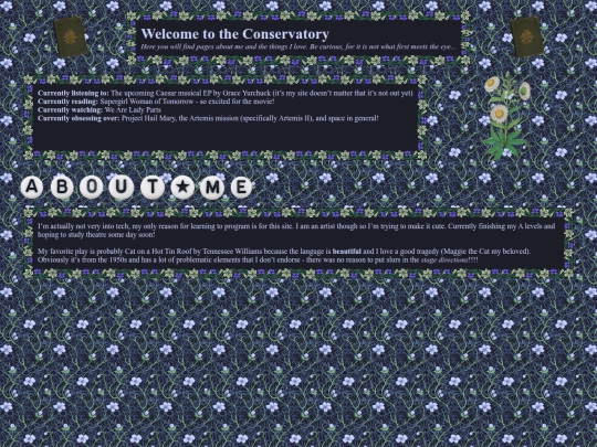 home-page/home screenshot
