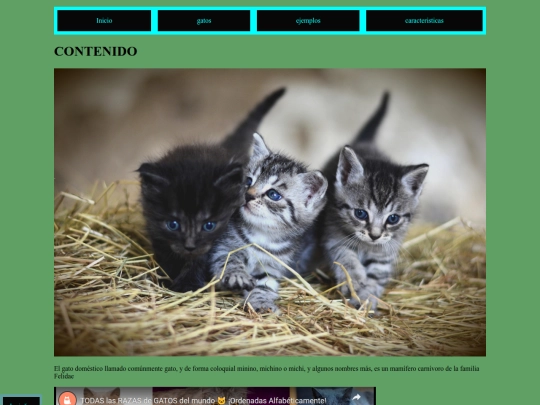 pag/gatos 2 screenshot