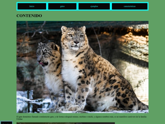 pag/gatos 4 screenshot