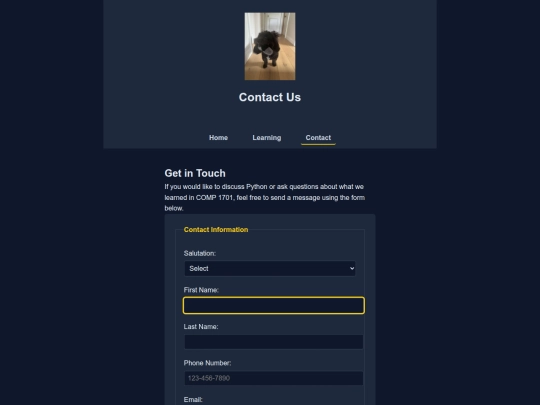 pages/contact screenshot