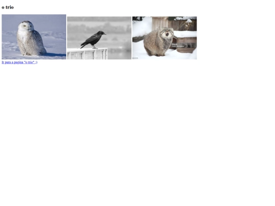atividade06 screenshot