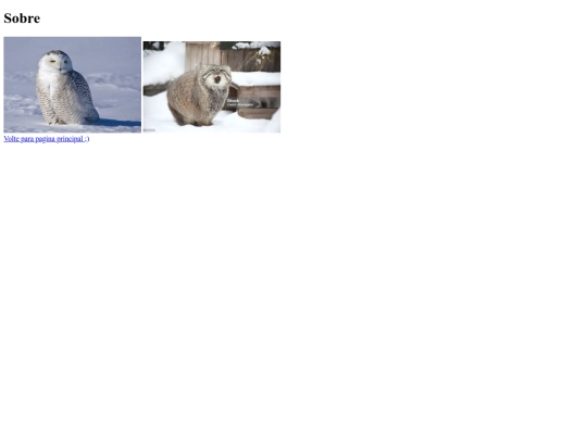 atividade06/paginas/sobre screenshot