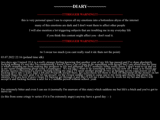 diary screenshot