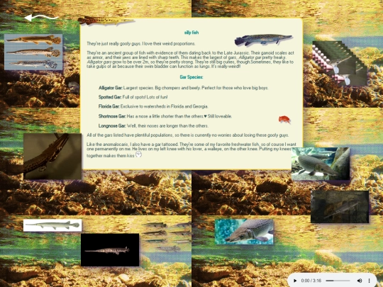 gars screenshot